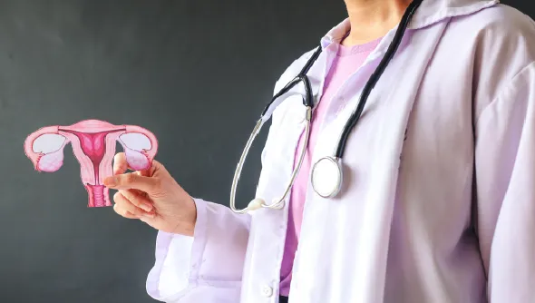 Doctor standing with a chart in hand showing vulvar cancer illustration for patient education