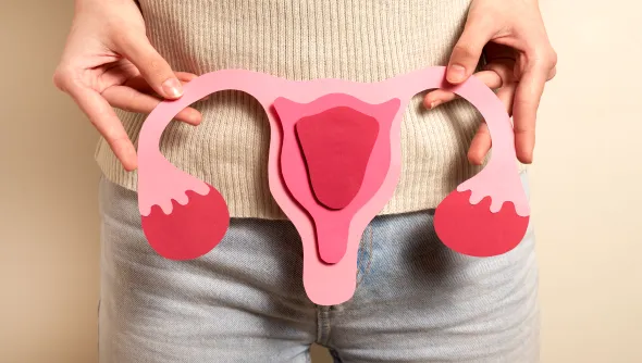 Specialized vaginal and vulval cancer surgery, offering advanced treatment options